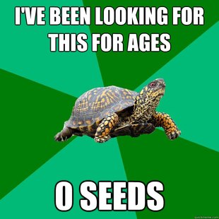 Torrenting Turtle