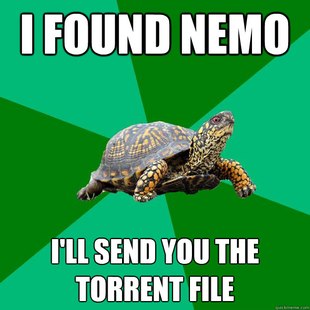 Torrenting Turtle