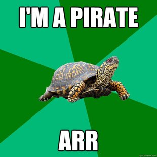 Torrenting Turtle