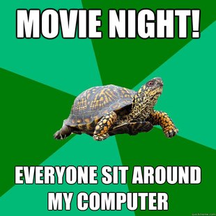 Torrenting Turtle