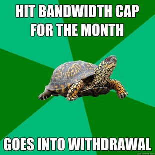 Torrenting Turtle