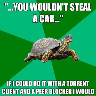 Torrenting Turtle