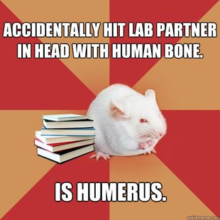 Science Major Mouse