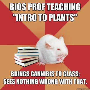 Science Major Mouse