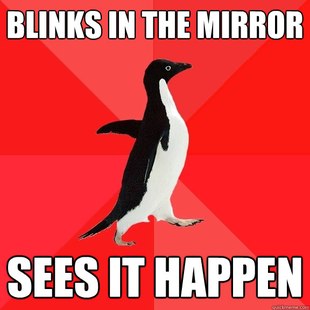 Socially Awesome Penguin