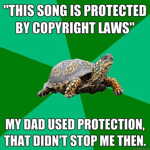 Torrenting Turtle