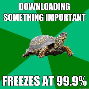 Torrenting Turtle