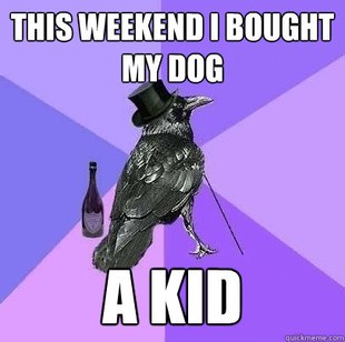 Rich Raven