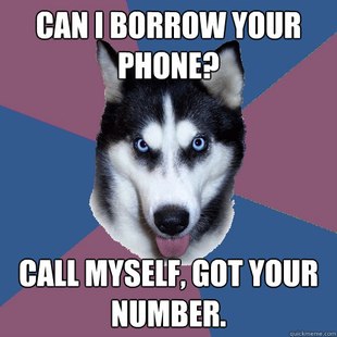Creeper Canine
