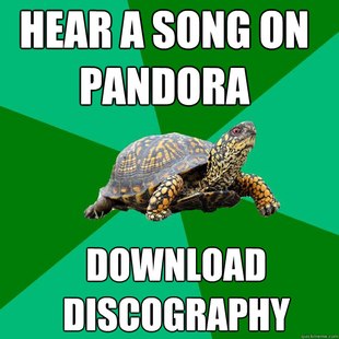 Torrenting Turtle