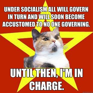Lenin Cat