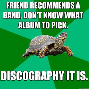 Torrenting Turtle