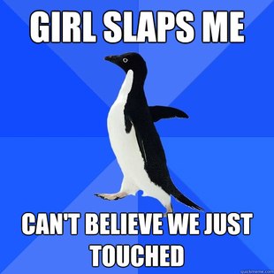 Socially Awkward Penguin