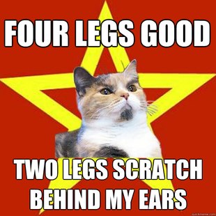 Lenin Cat