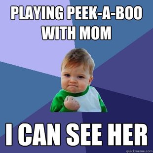 Success Kid