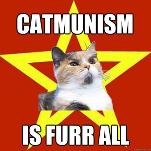Lenin Cat