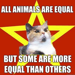 Lenin Cat