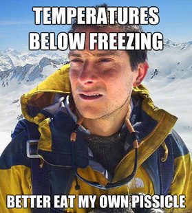 Bear Grylls