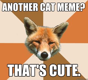 Condescending Fox