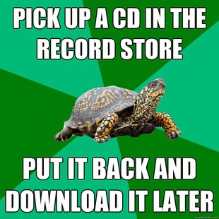 Torrenting Turtle