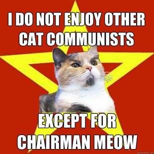 Lenin Cat