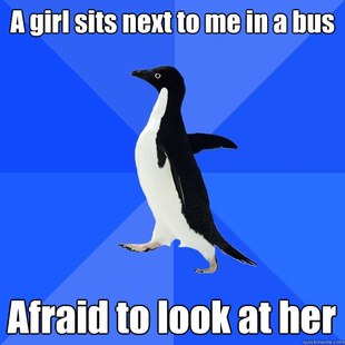 Socially Awkward Penguin