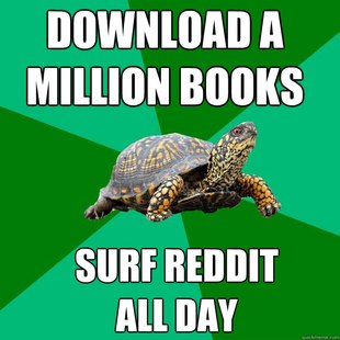 Torrenting Turtle