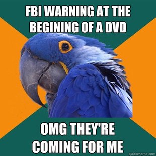 Paranoid Parrot
