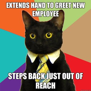 Business Cat