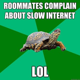 Torrenting Turtle