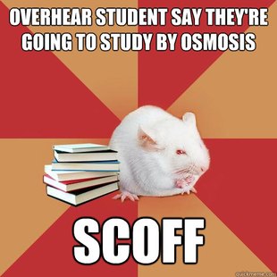 Science Major Mouse