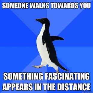 Socially Awkward Penguin