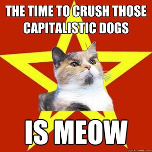 Lenin Cat