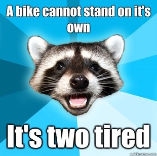 Lame Pun Coon