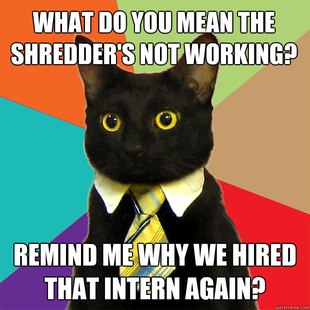 Business Cat