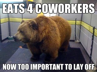 Office Grizzly