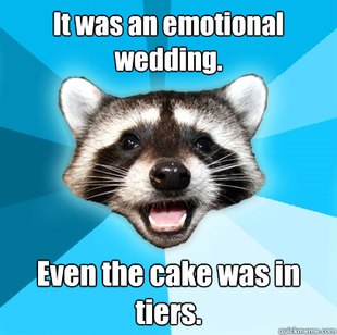 Lame Pun Coon