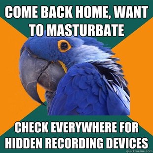 Paranoid Parrot