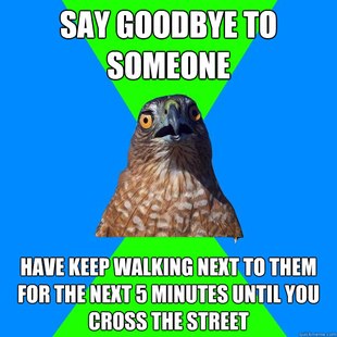 Hawkward