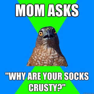 Hawkward