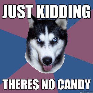 Creeper Canine