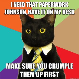 Business Cat