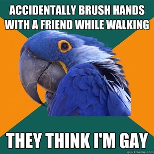 Paranoid Parrot