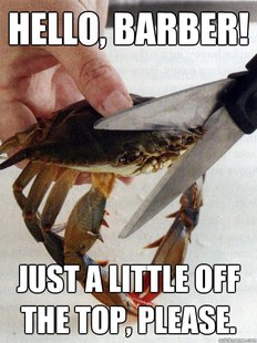 Optimistic Crab
