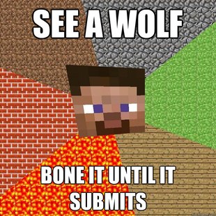Minecraft