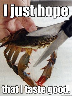 Optimistic Crab