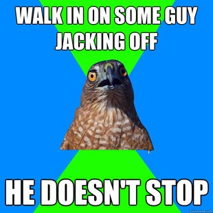 Hawkward