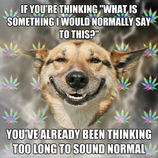 Stoner Dog