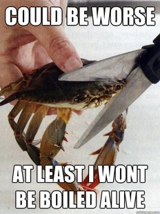 Optimistic Crab