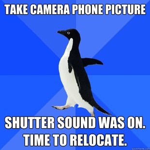 Socially Awkward Penguin